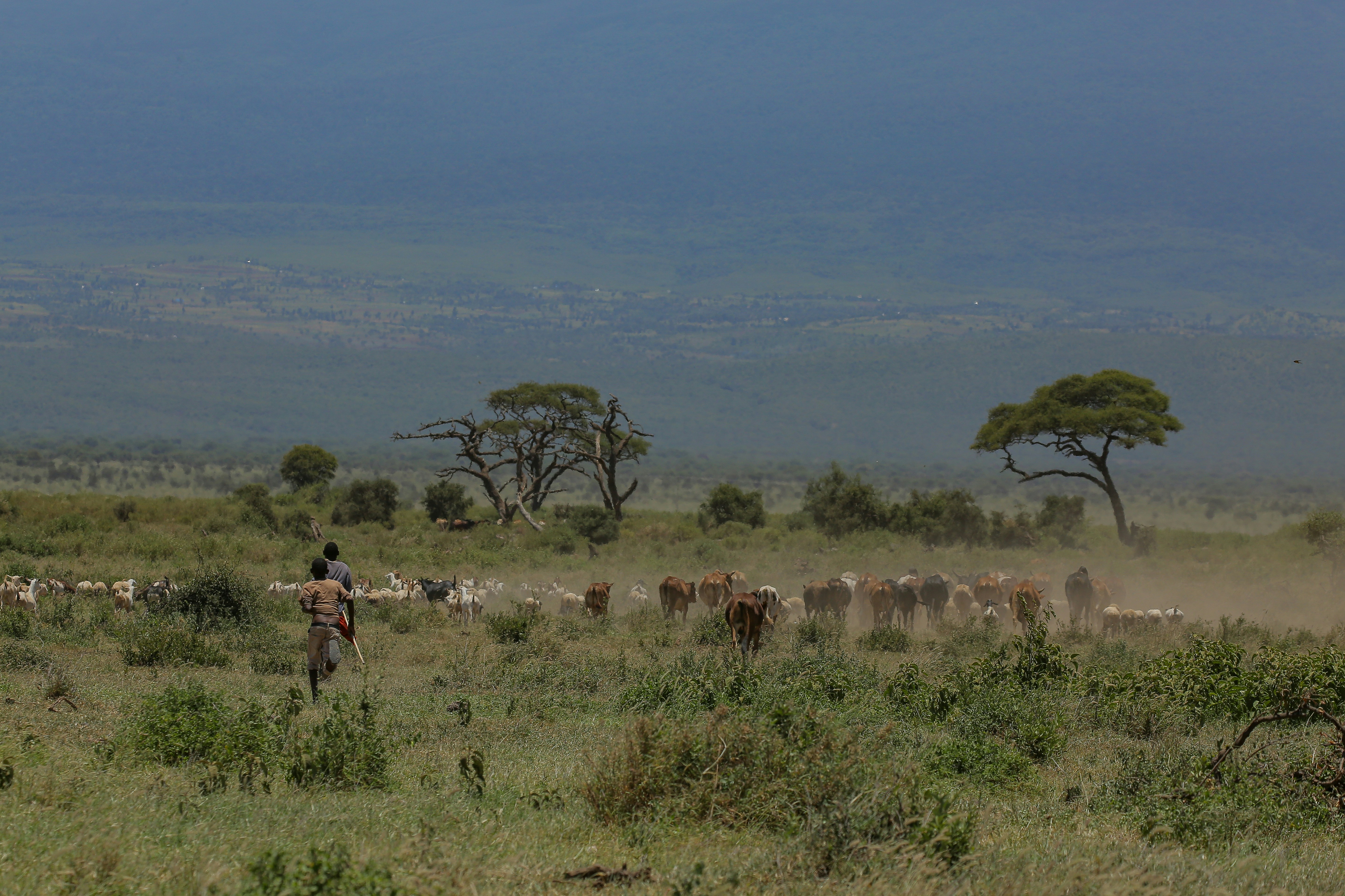 Maasai Mara Landscape